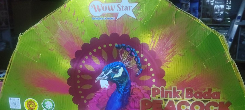 BADA PINK PEACOCK [ WOW STAR ]