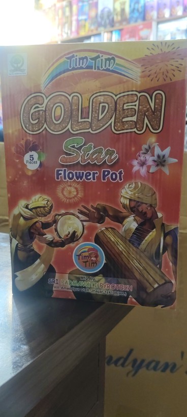 GOLDEN STAR [ 5 PCS ]